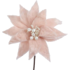 a poinsettia flower - 植物 - 