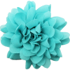 aqua flower - 植物 - 
