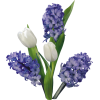 asia12 (flowers) - Rastline - 