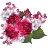 asia12 (flowers) - Piante - 