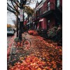 autumn - My photos - 
