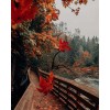 autumn - Moje fotografie - 