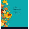autumn - Pozadine - 