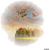 autumn - Фоны - 