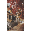 autumn - Background - 