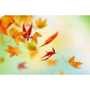 autumn - Фоны - 