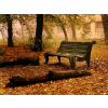 Autumn - Fondo - 