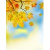 autumn background - Hintergründe - 
