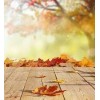 autumn background - 北京 - 