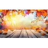 autumn background - Fundos - 