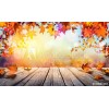 autumn background - Hintergründe - 