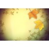 autumn background - Tła - 