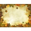 autumn background - Hintergründe - 