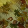 autumn background - Fondo - 