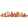 autumn border - Растения - 