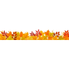 autumn border - Plantas - 