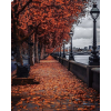 autumn city photo - Uncategorized - 