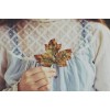 autumn leaf - Moje fotografie - 