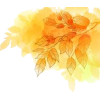 autumn leaves - Rośliny - 