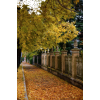 autumn photo - Uncategorized - 
