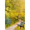 autumn scene - Background - 