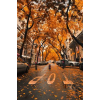autumn street - Natura - 