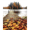 autumn water leaves photo - Uncategorized - 