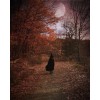 autumn witch - Uncategorized - 