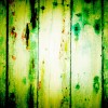 Green Background Casual - Фоны - 