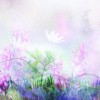 Colorful Background Casual - Ozadje - 