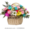 basket w flowers - Plants - 