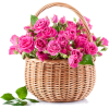 basket w flowers - Rośliny - 