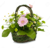 basket w flowers - Pflanzen - 