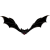 bat - 动物 - 