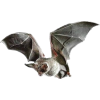 bat - Uncategorized - 