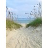 beach - Pozadine - 