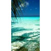 beach - Background - 