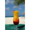 beach babe - Beverage - 