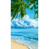 beach background - Fondo - 