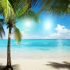 beach background - Background - 