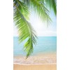 beach background - Fundos - 
