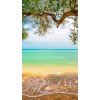 beach background - Ozadje - 