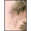 beautiful palms - Background - 