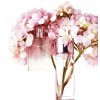 beauty - Perfumes - 