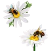 bees - 動物 - 
