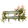 bench roses - Biljke - 