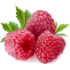 berry - Fruit - 