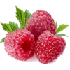 berry - 水果 - 