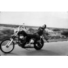 biker - Vehicles - 