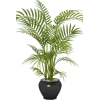 bilje - Pflanzen - 